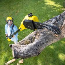 Best Aeration Services  in Frazier Park, CA